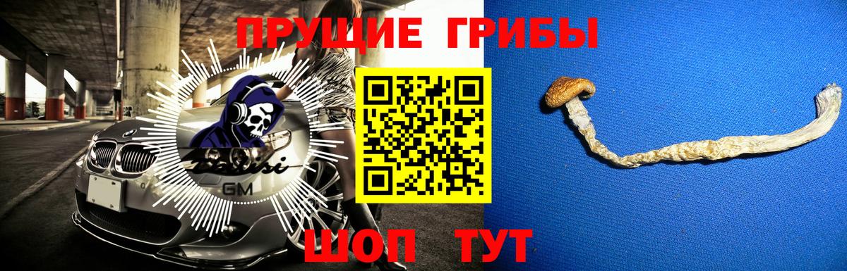 Галлюциногенные грибы Psilocybe Старая Купавна